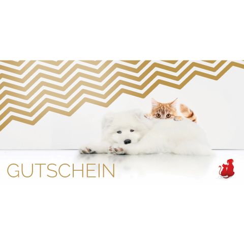Dog Provital Accessories Advertising material Anifit 10 EUR Gutschein 1 Piece -2- Anifit